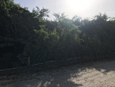 terrain à vendre cayenne guyane (97300)