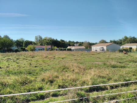 vente terrain à bâtir 1803 m² saint-caprais-de-blaye (33820)