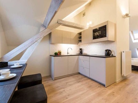 appartement 1 chambres à louer à 640 € à bruges 8000, 1 salle de bain, 165kwh/m², 1 wc - l
