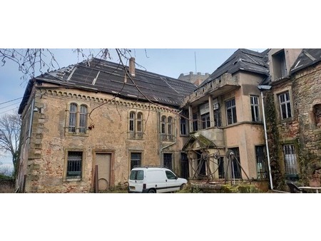 en vente château 1 163 m² – 750 000 € |ham-sous-varsberg