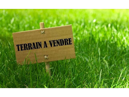 terrain constructible a st benoit sur loire proche du centr