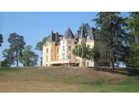 château en vente à etang-sur-arroux : en bourgogne du sud  dans un environnement protégé s