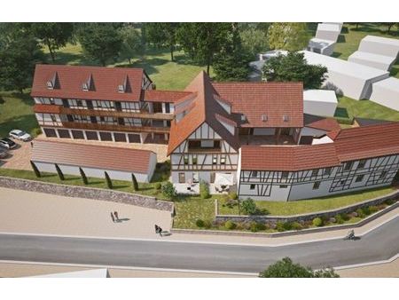 vente programme neuf t2  t3  t4 50 à 86 m² betschdorf (67660)