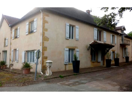 vente maison 10 pièces 520 m² chassigny-sous-dun (71170)