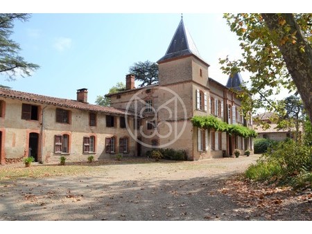 chateau - dependances - maison de gardien - 3ha - 45 mn de toulouse en exclusivité – haute