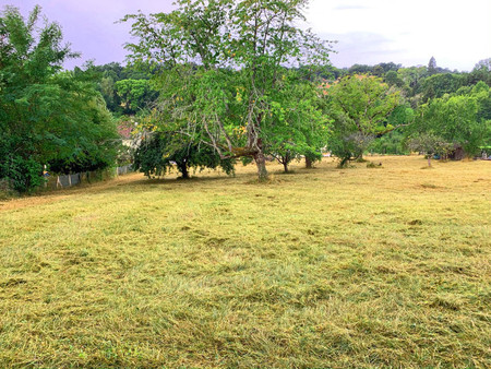 terrain constructible avec arbres matures près du centre d'excideuil avec une belle exposi