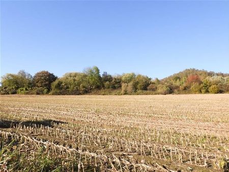 très beau terrain pour lotissement