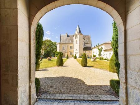 magnifique château avec piscine  maison d'amis et jardins à la française