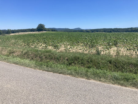 terre agricole à vendre 18900 eur à léran avec concept immo