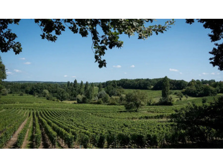 vignoble en vente à lalande-de-pomerol : très belle propriété familiale de près de 10ha de