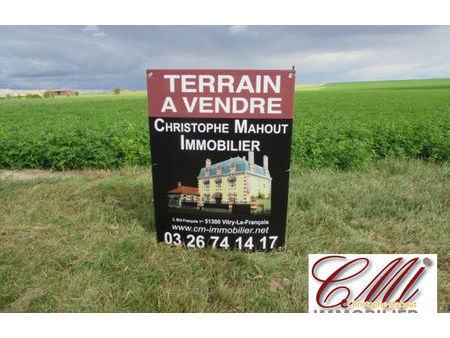 vente terrain 10484 m² frignicourt (51300)