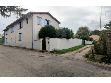 vente maison 8 pièces 300 m² salaise-sur-sanne (38150)