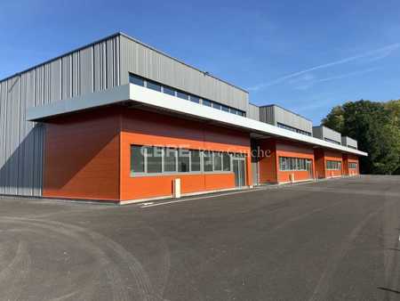 location d'entrepôt de 1 086 m² à eschau - 67114