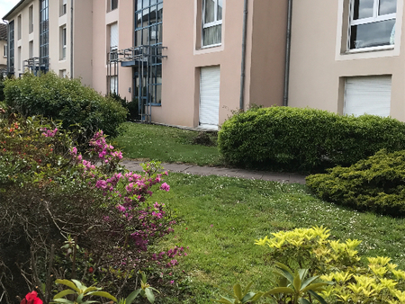 appartement 1 pièce - 27m² - limoges