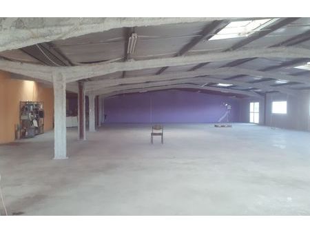 location commerce 495 m² baillargues (34670)