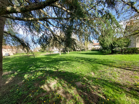 beau terrain arboré