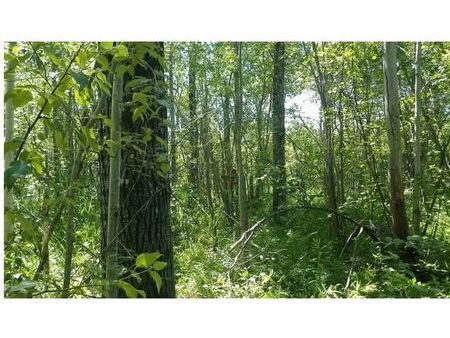 forêt taillis bois terrain à louer 860m2