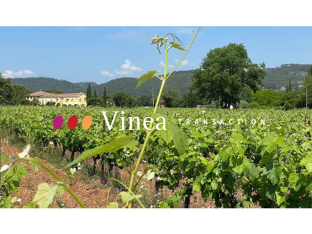 vignoble en vente à lorgues : dans une jolie plaine viticole se situe ce véritable outil d
