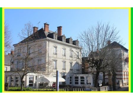 vente maison 20 pièces 646 m² bourbon-l'archambault (03160)