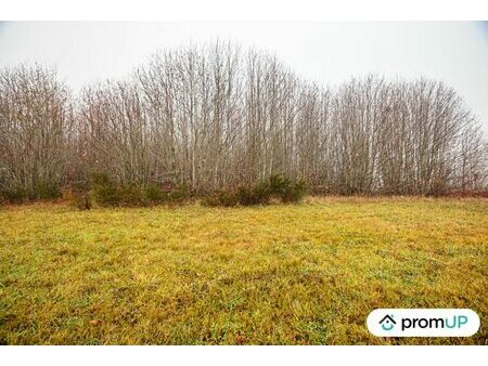 vente terrain 7719 m²