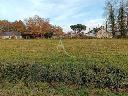 vente terrain 2 pièces 995 m²