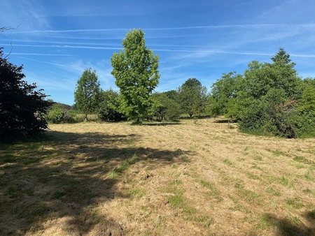 vente terrain 4917 m²