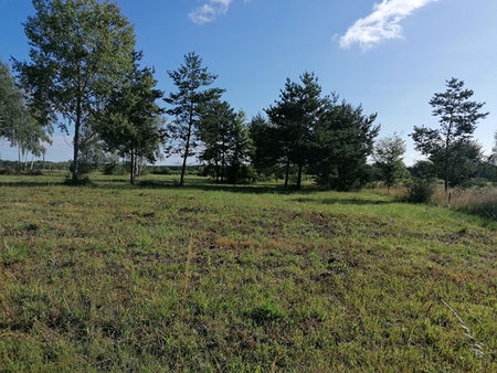 vente terrain  3388.00m²  cellettes