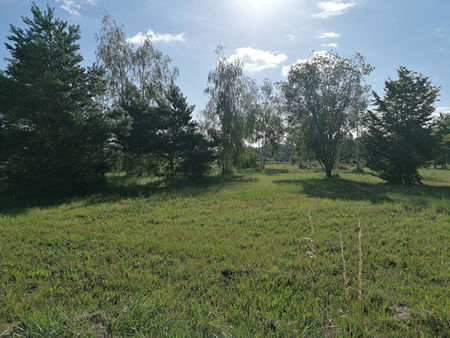 vente terrain  3765.00m²  cellettes