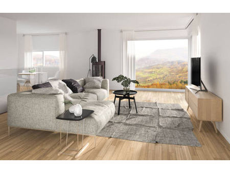 vente appartement 4 pièces 94 m² albertville (73200)