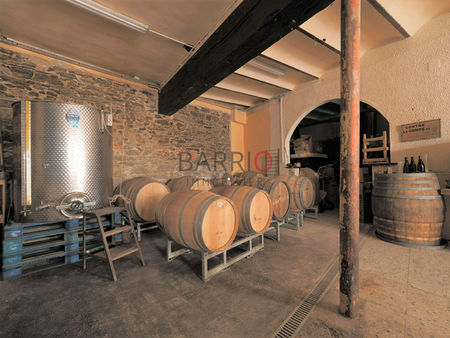port-vendres cave viticole