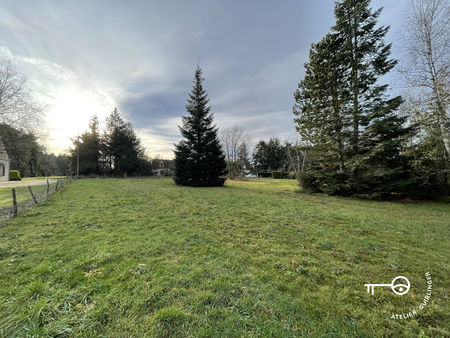 terrain - 996m²