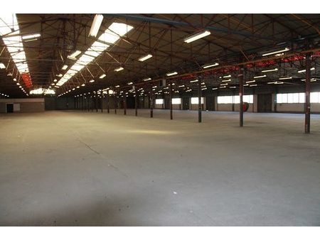 location locaux professionnels 1000 m²