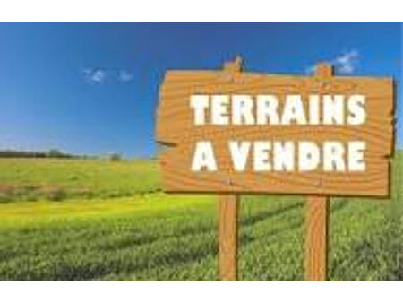 vente terrain 3000 m² saint-martin-de-laye (33910)