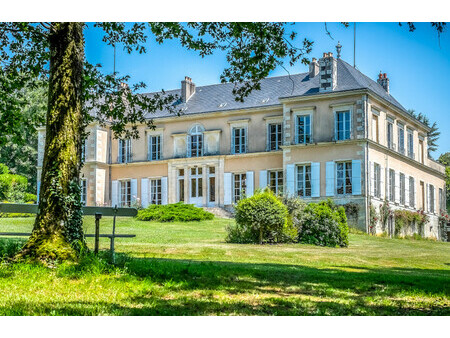 impressionnant château de huit chambres avec maison de gardiens  dépendances  piscine  dan