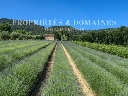 vignoble en vente à lauris : les terres •environ 46 hectares de terres  bois  vignes  verg