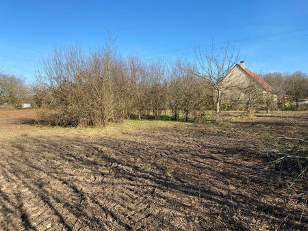 vente terrain à trun (61160) : à vendre / 2289m² trun