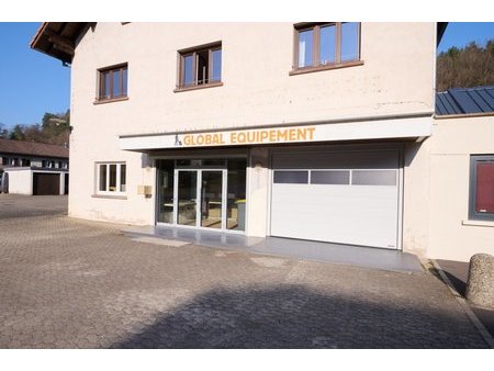 en vente local commercial 256 m² – 195 000 € |lutzelbourg
