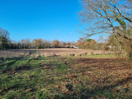 vente terrain à martinet (85150) : à vendre / martinet