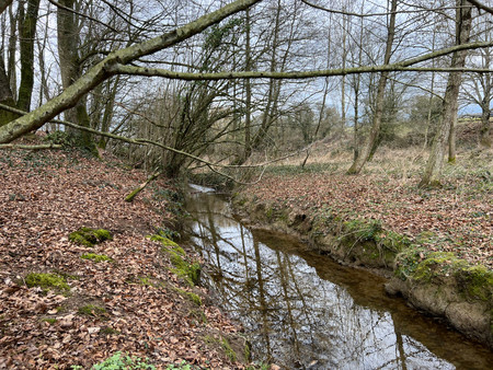 bois d'un peu plus de 1 3 hectare  à proximité du village de barenton  à usage agricole ou