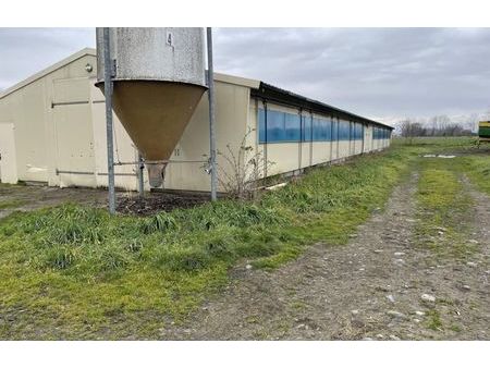 location local industriel 405 m² andrest (65390)
