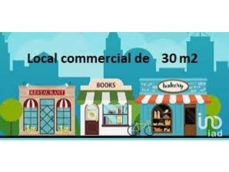 vente locaux professionnels 30 m²