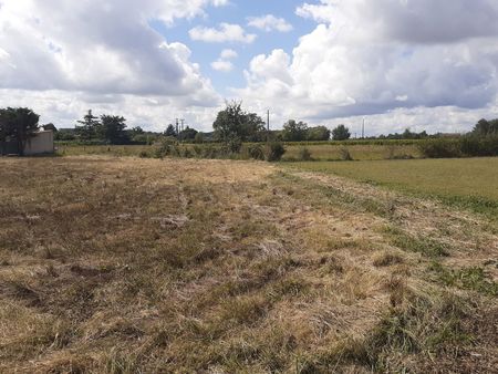 terrain viabilise 1000 m2 secteur albi-gaillac