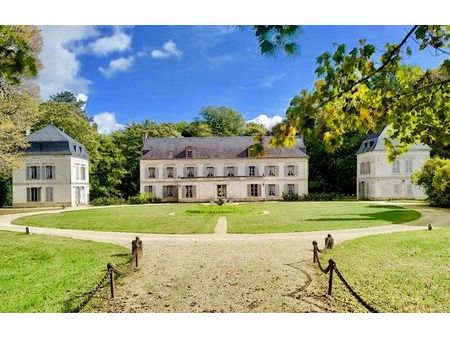 vente maison 32 pièces 1000 m² champlay (89300)