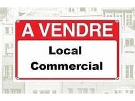 vente commerce 55 m² lathuile (74210)