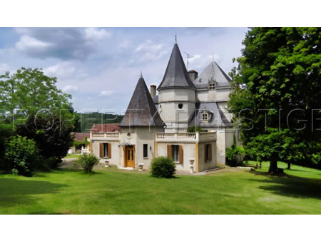 château en vente à liorac-sur-louyre : au pays de cyrano de bergerac  venez découvrir cett
