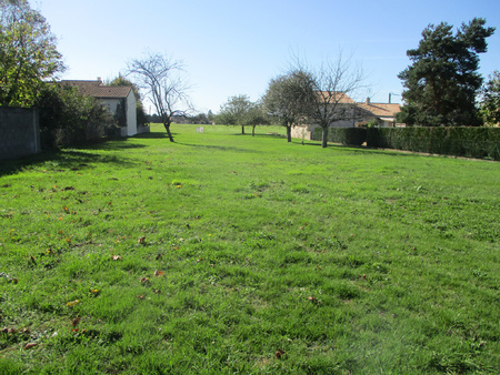 terrain - 1 388m² - couhe