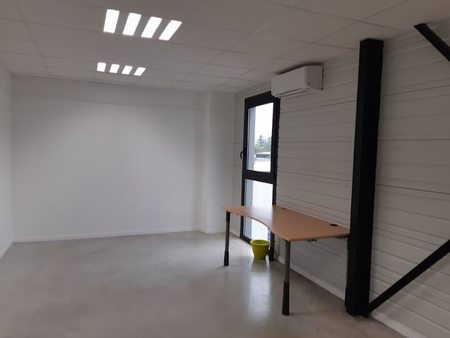 location locaux professionnels 45 m²