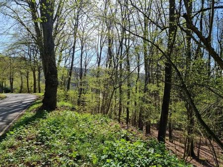 grand terrain à bâtir à malmedy (lasnenville)