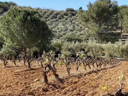 sublime propriété oleo-viticole en provence