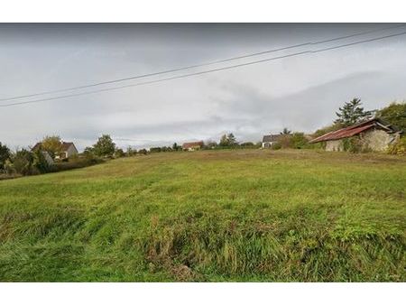 vente terrain 6880 m² châtillon-sur-indre (36700)
